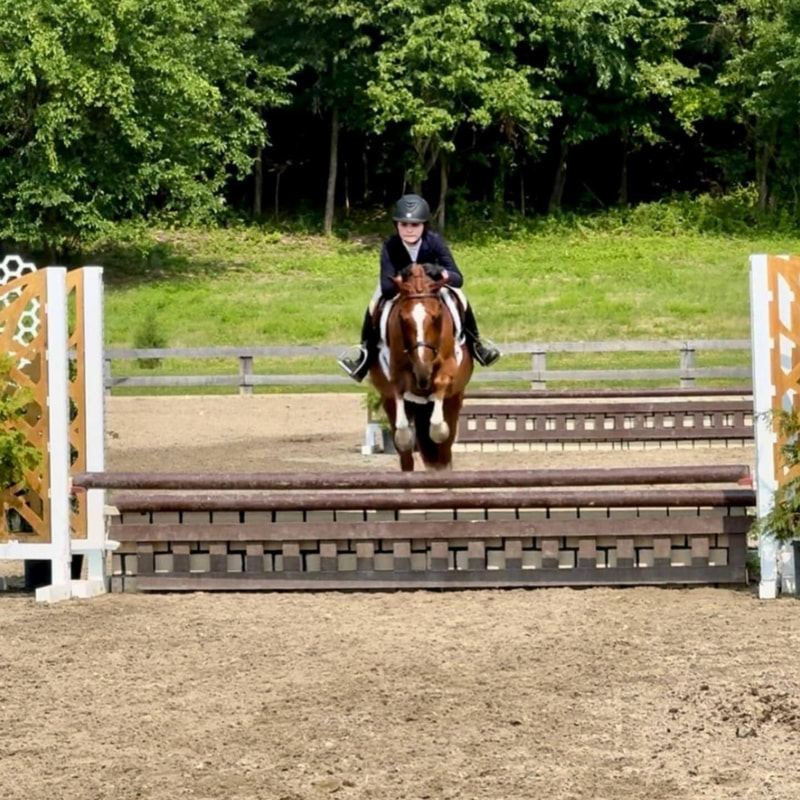 distinctive charm jumping at a horse show