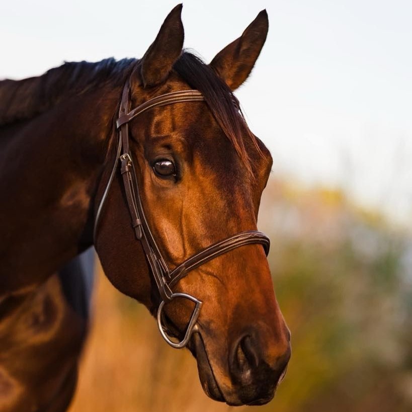 perfect timing headshot 