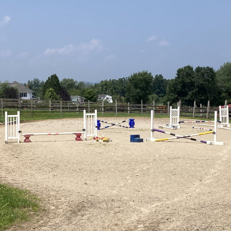 outdoor riding ring with jumps