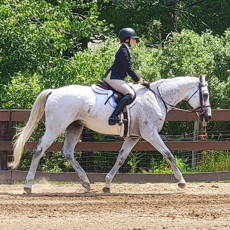 rider on a gray horse